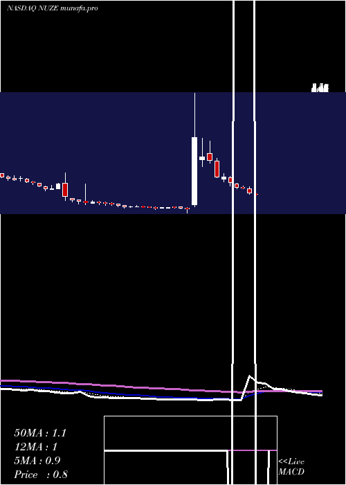 Daily chart NuzeeInc