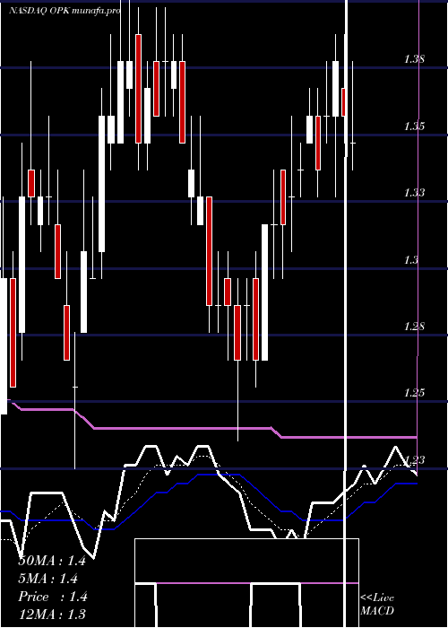  Daily chart OpkoHealth