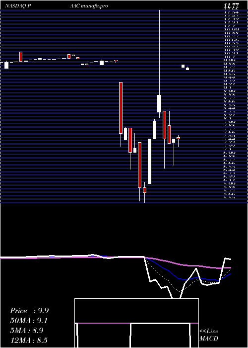  Daily chart PacificSpec