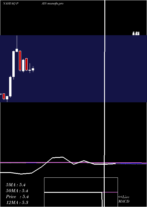 monthly chart PaysignInc