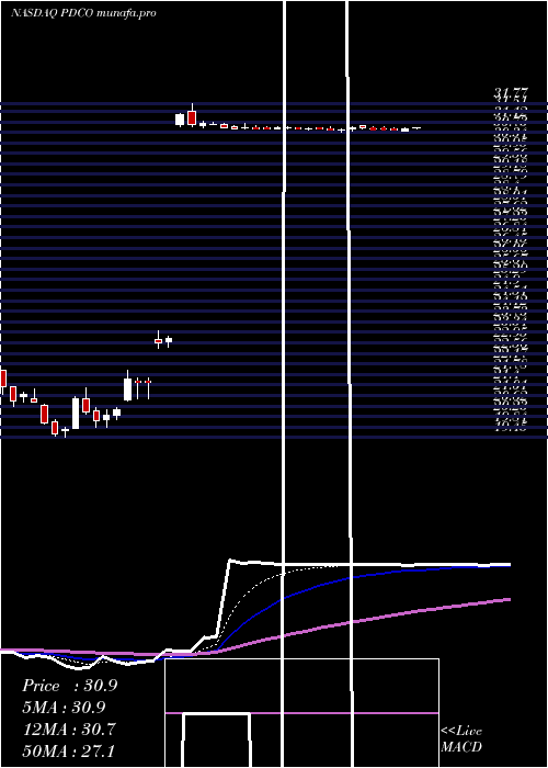  Daily chart PattersonCompanies