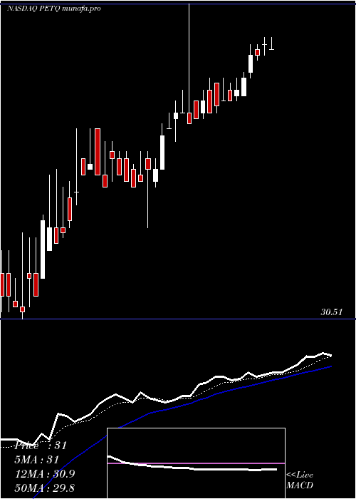  Daily chart PetiqInc