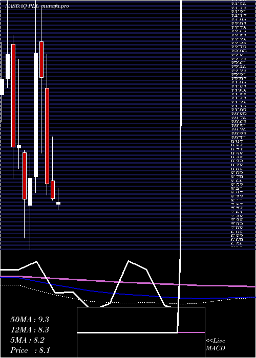  monthly chart PiedmontLithium