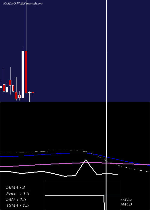 monthly chart PatriotNational