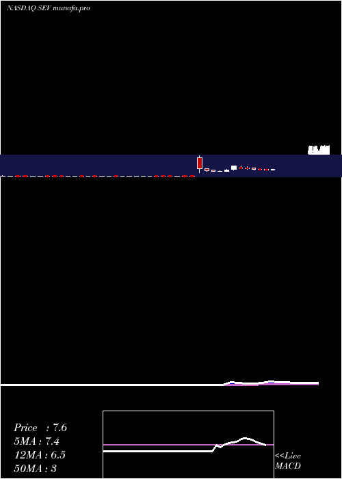 Daily chart SevconInc