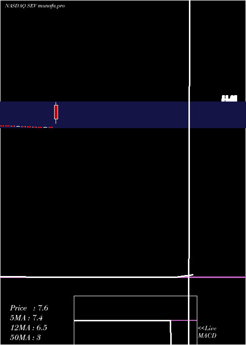monthly chart SevconInc