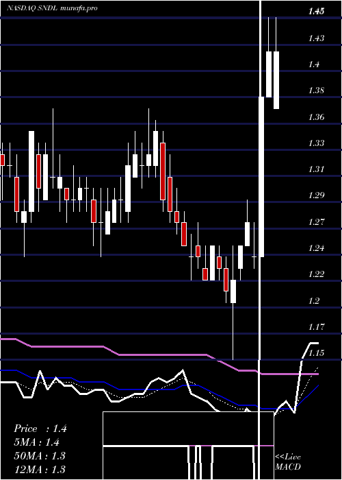  Daily chart SundialGrowers