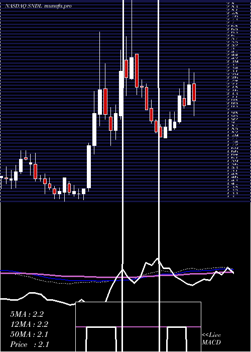  weekly chart SundialGrowers