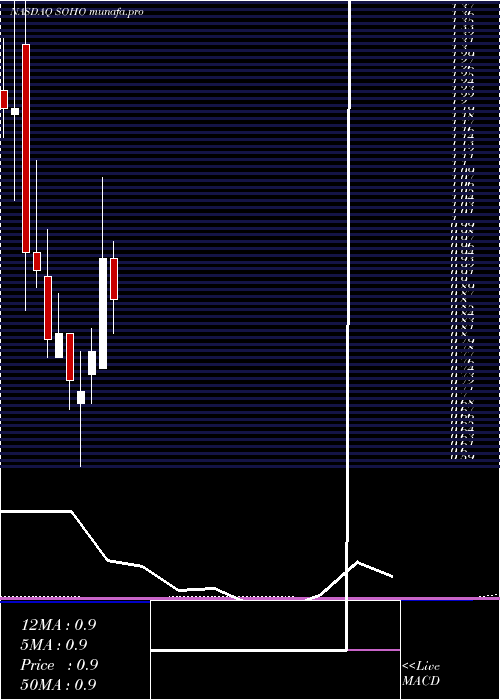 monthly chart SotherlyHotels