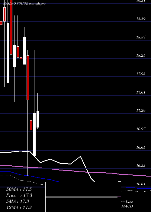  monthly chart SotherlyHotels