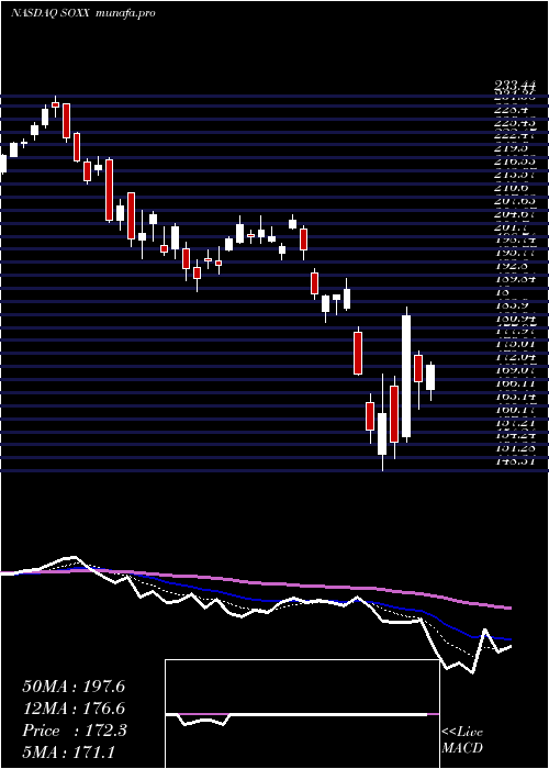  Daily chart IsharesPhlx