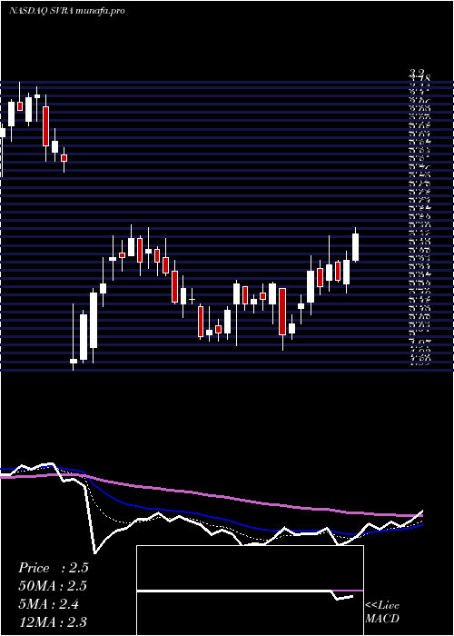 Daily chart SavaraInc