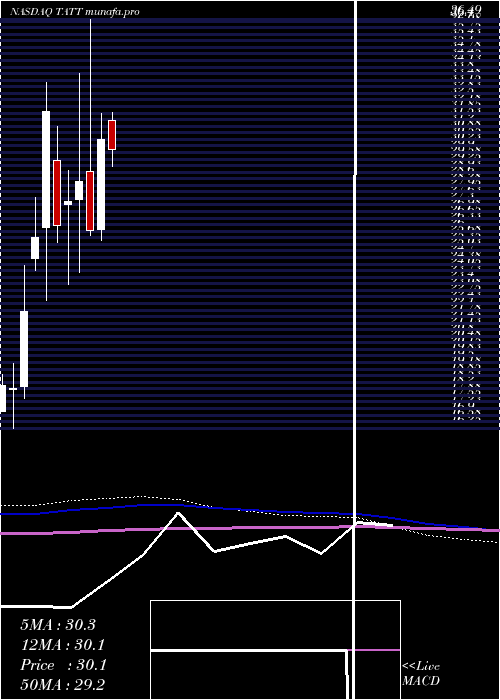 monthly chart TatTechnologies