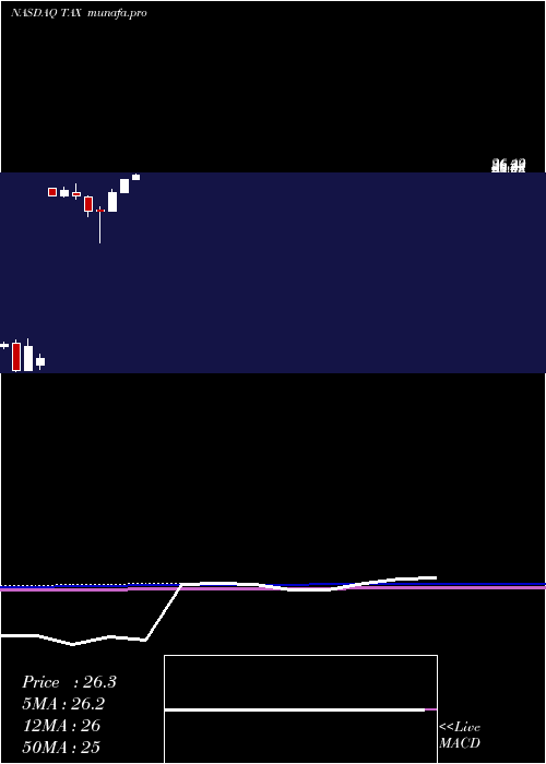 monthly chart LibertyTax