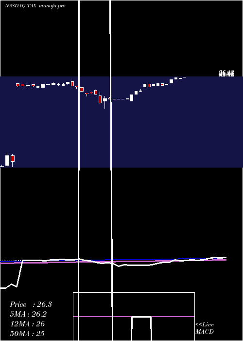 weekly chart LibertyTax