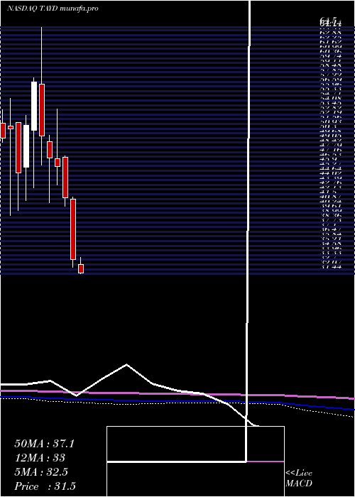  monthly chart TaylorDevices