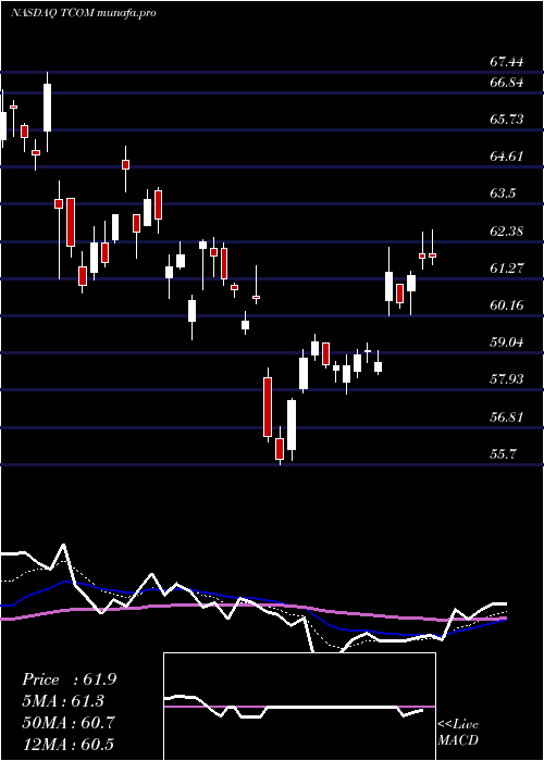 Daily chart TripCom