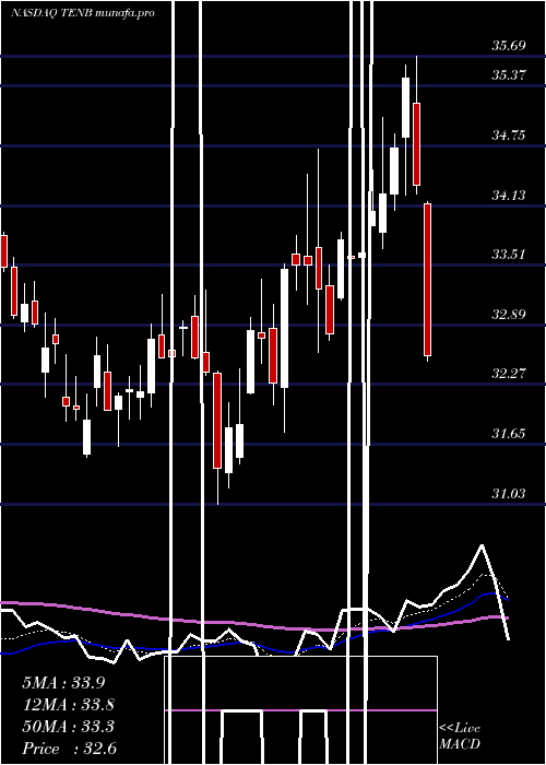 Daily chart TenableHoldings