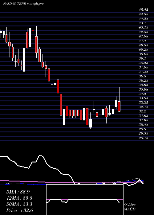 weekly chart TenableHoldings