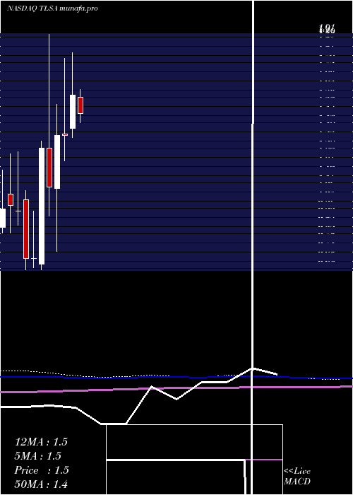 monthly chart TizianaLife