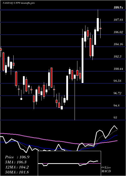 Daily chart UniversalForest