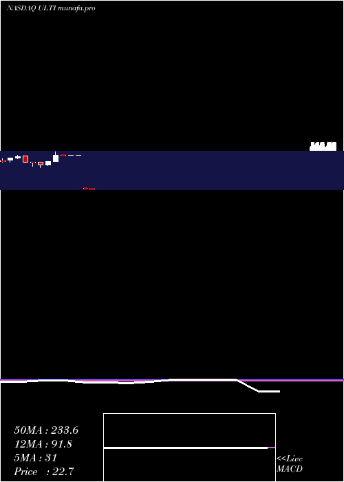 monthly chart UltimateSoftware