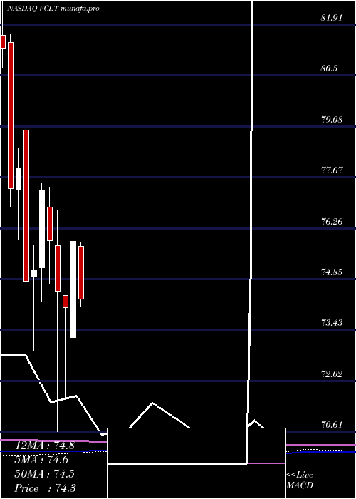 monthly chart VanguardLong