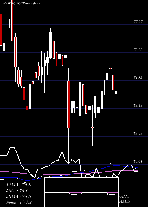 weekly chart VanguardLong