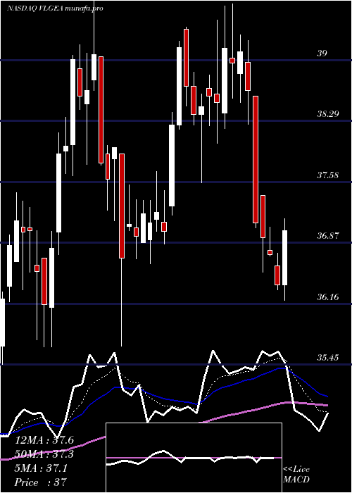 Daily chart VillageSuper