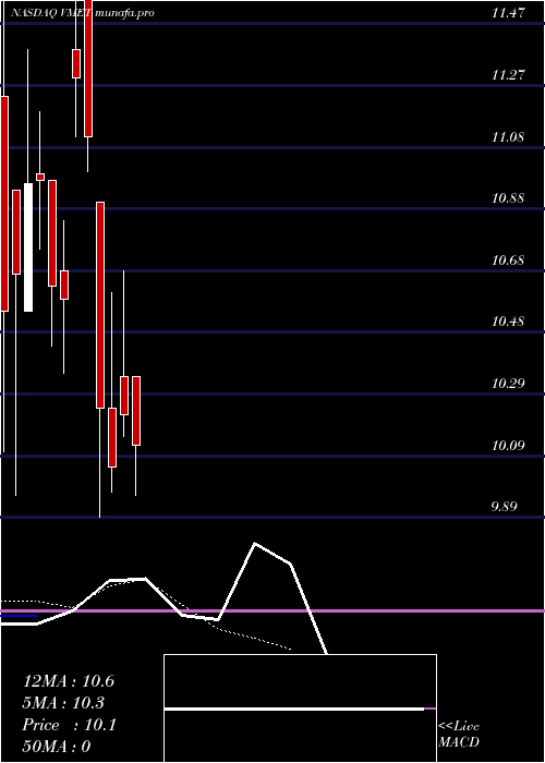  Daily chart ViametPharmaceuticals