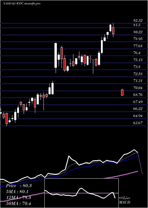 Daily chart WesternDigital