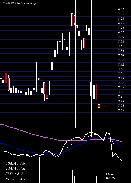  Daily chart WilhelminaInternational