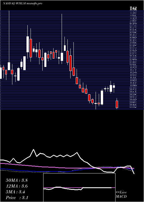  weekly chart WilhelminaInternational