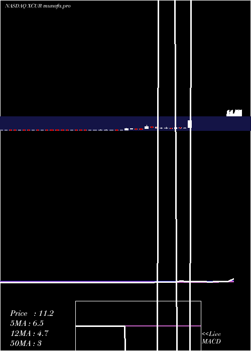  weekly chart ExicureInc