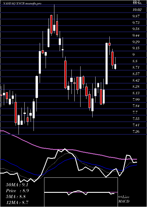  Daily chart XencorInc