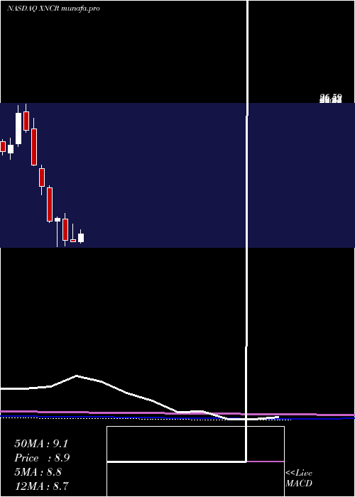 monthly chart XencorInc