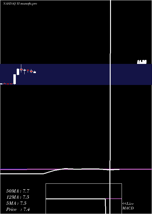 monthly chart 111Inc