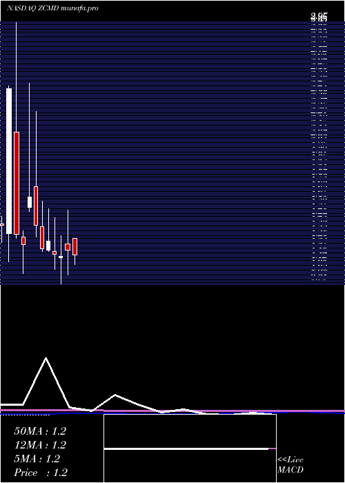 monthly chart ZhongchaoInc