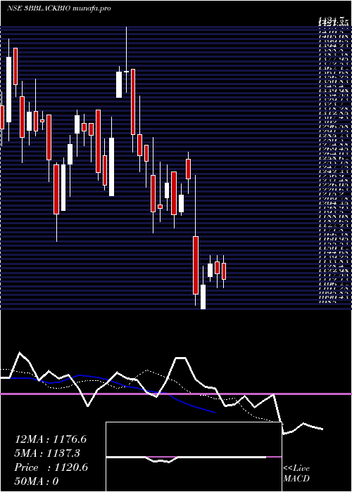  Daily chart 3bBlackbio