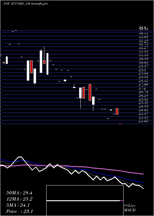  Daily chart AccordSynergy