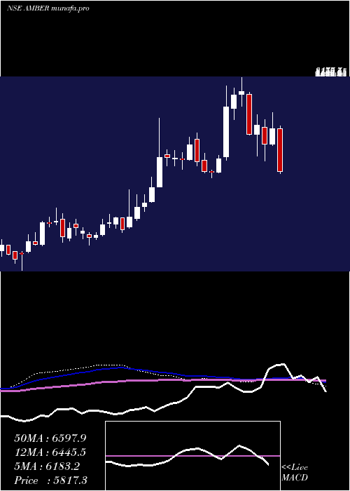  weekly chart AmberEnterprises