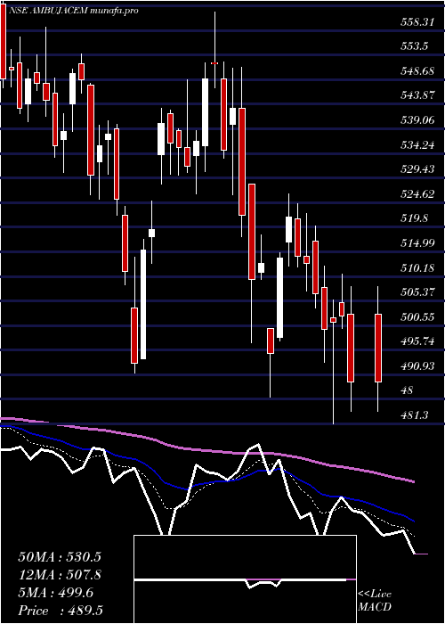  Daily chart AmbujaCements