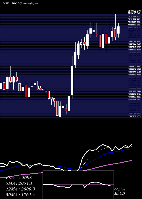  Daily chart AmiOrganics