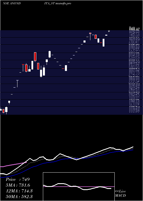 Daily chart AnonditaMedicare