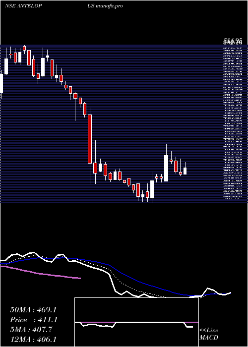  Daily chart AntelopusSelan