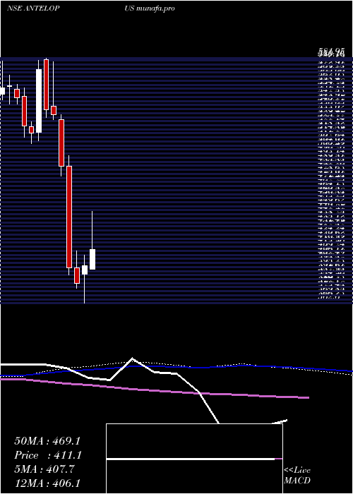  weekly chart AntelopusSelan
