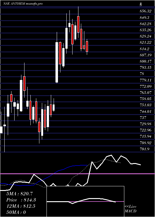 Daily chart AnthemBiosciences