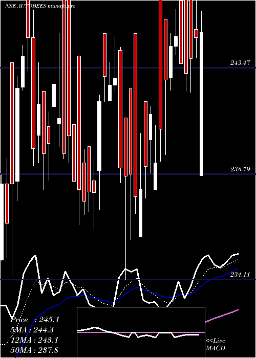  Daily chart NipponamcNetfauto