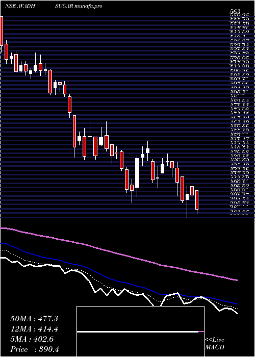  Daily chart AvadhSug