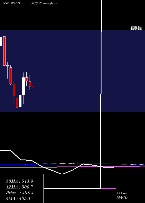 monthly chart AvadhSug